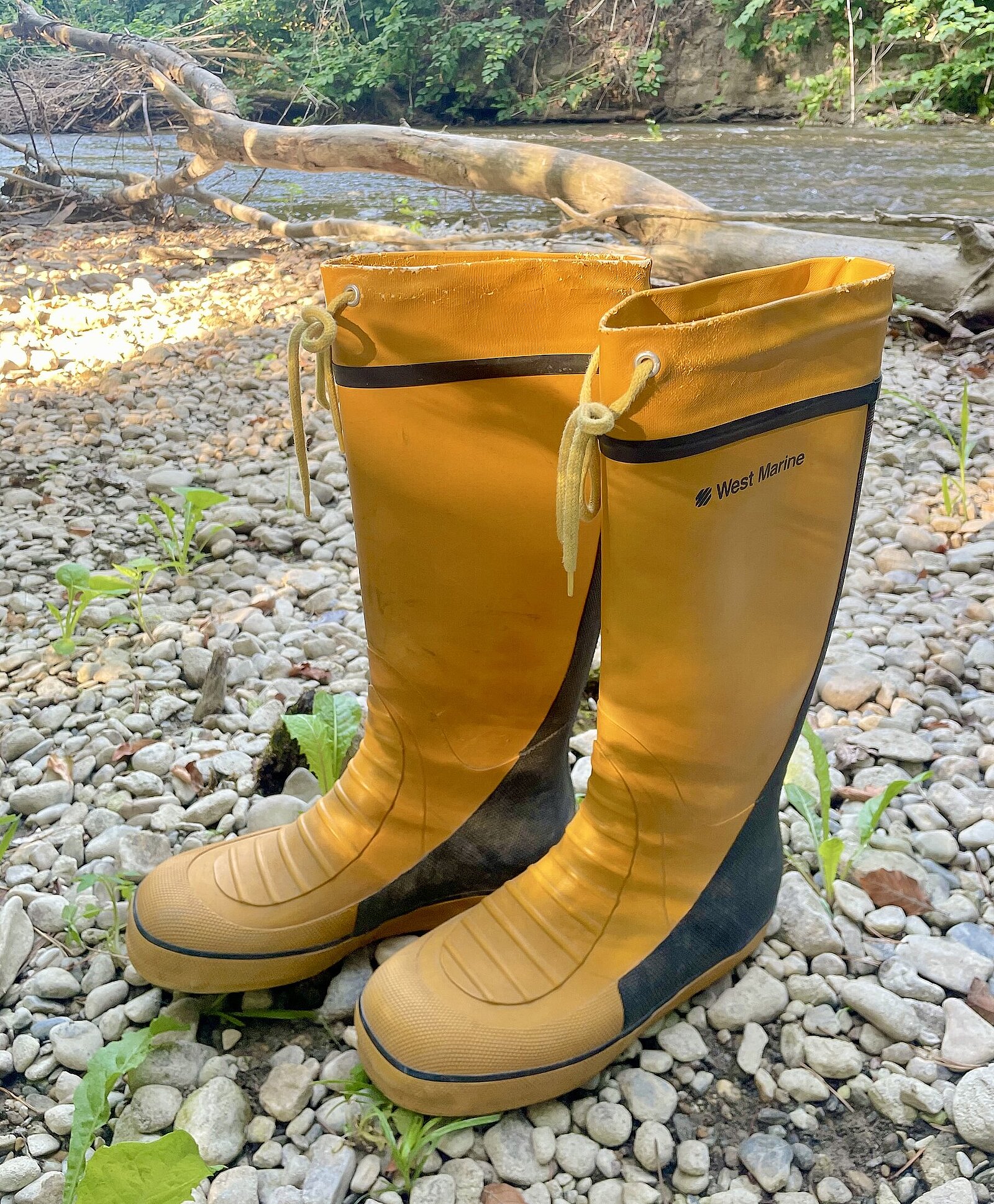 A vos bottes ! © Réseau Romand Science et Cité A vos bottes ! © Réseau Romand Science et Cité