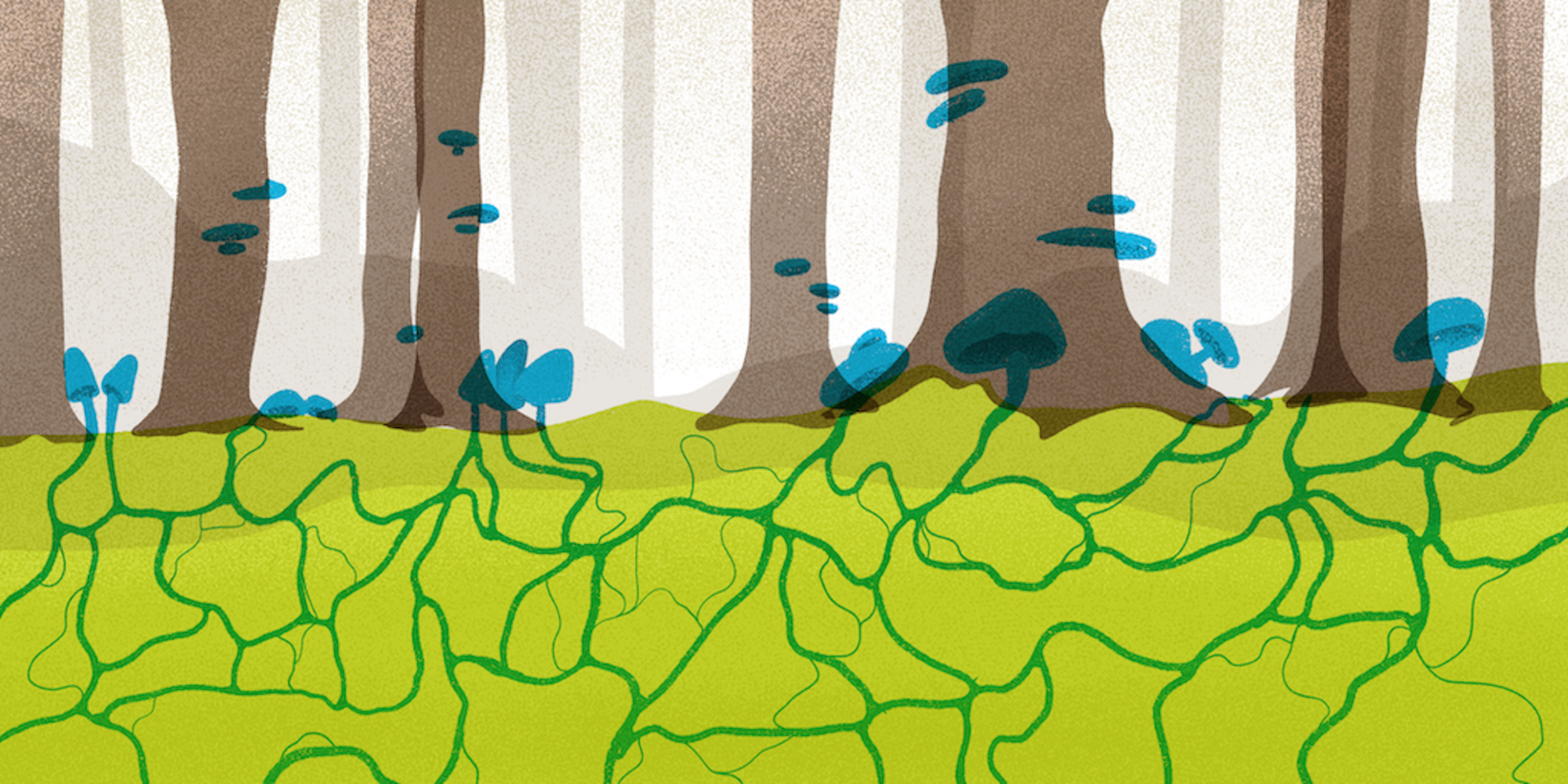 Laien forschen mit - Der Artenvielfalt auf der Spur Laien forschen mit - Der Artenvielfalt auf der Spur