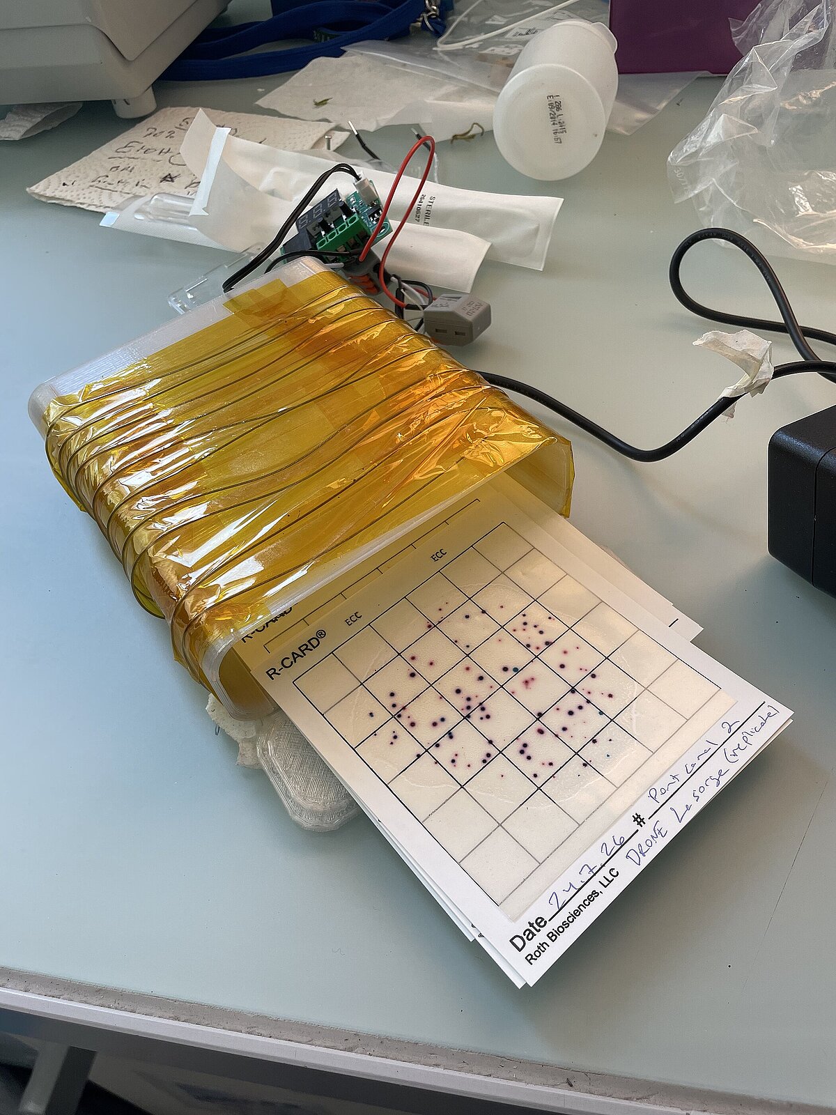 Un incubateur de poche « to go » et des cartes de culture R-CARD sur lesquelles les bactéries ont eu tout loisir de se développer. © Réseau Romand Science et Cité & Hackuarium