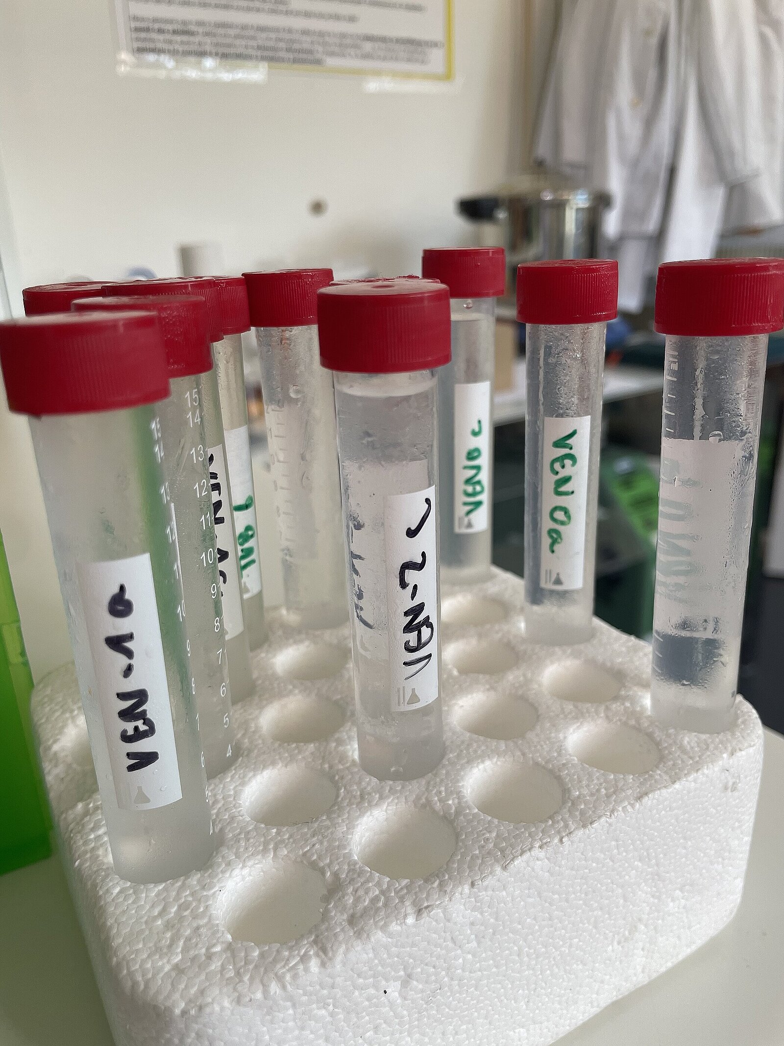 Echantillons d’eau de la Venoge et de la Sorge prêts à être manipulés par les bénévoles. © Réseau Romand Science et Cité Echantillons d’eau de la Venoge et de la Sorge prêts à être manipulés par les bénévoles. © Réseau Romand Science et Cité