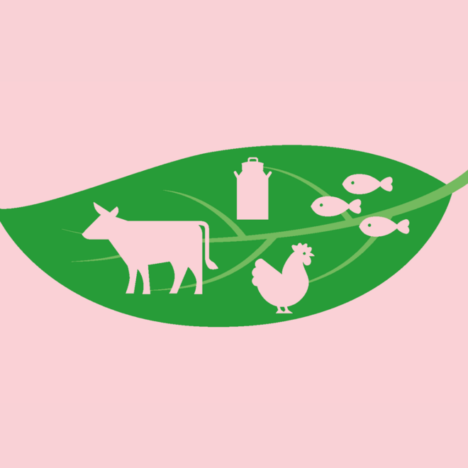 Meat meets Science: Das Fleisch der Zukunft?