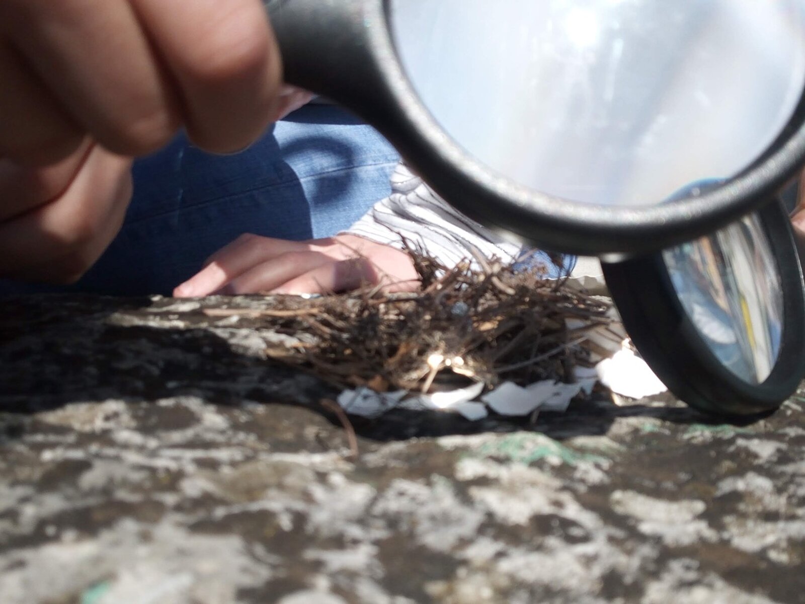 Feuer mit einer Lupe entfachen